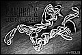 Z01bw.jpg