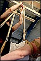 Z11.jpg